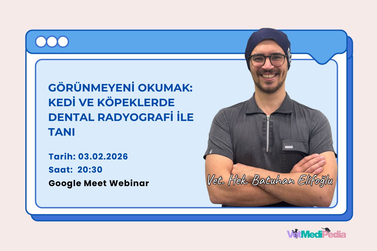 Görünmeyeni Okumak: Kedi ve Köpeklerde Dental Radyografi ile Tanı