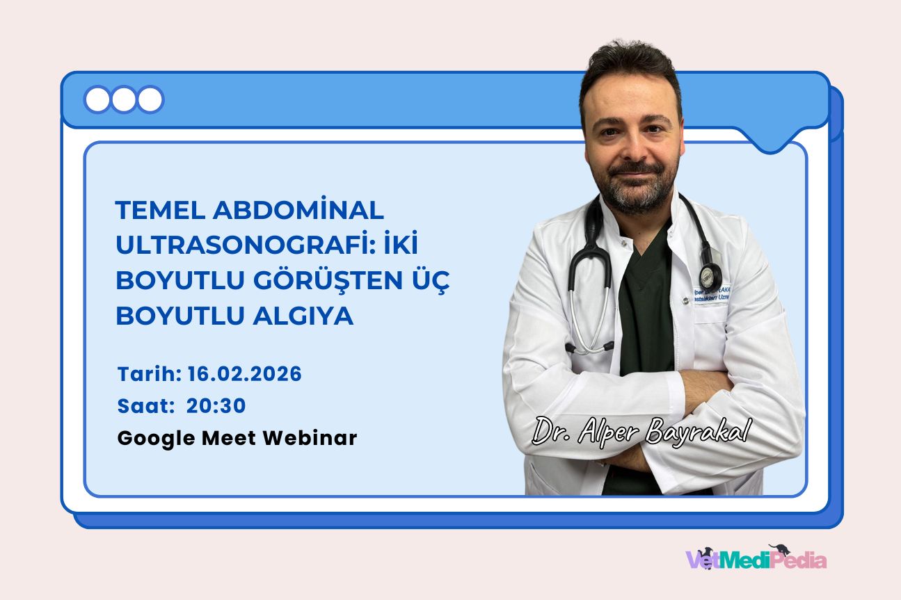 Temel Abdominal Ultrasonografi: İki Boyutlu Görüşten Üç Boyutlu Algıya