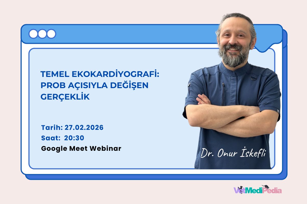 Temel Ekokardiyografi: Prob Açısıyla Değişen Gerçeklik