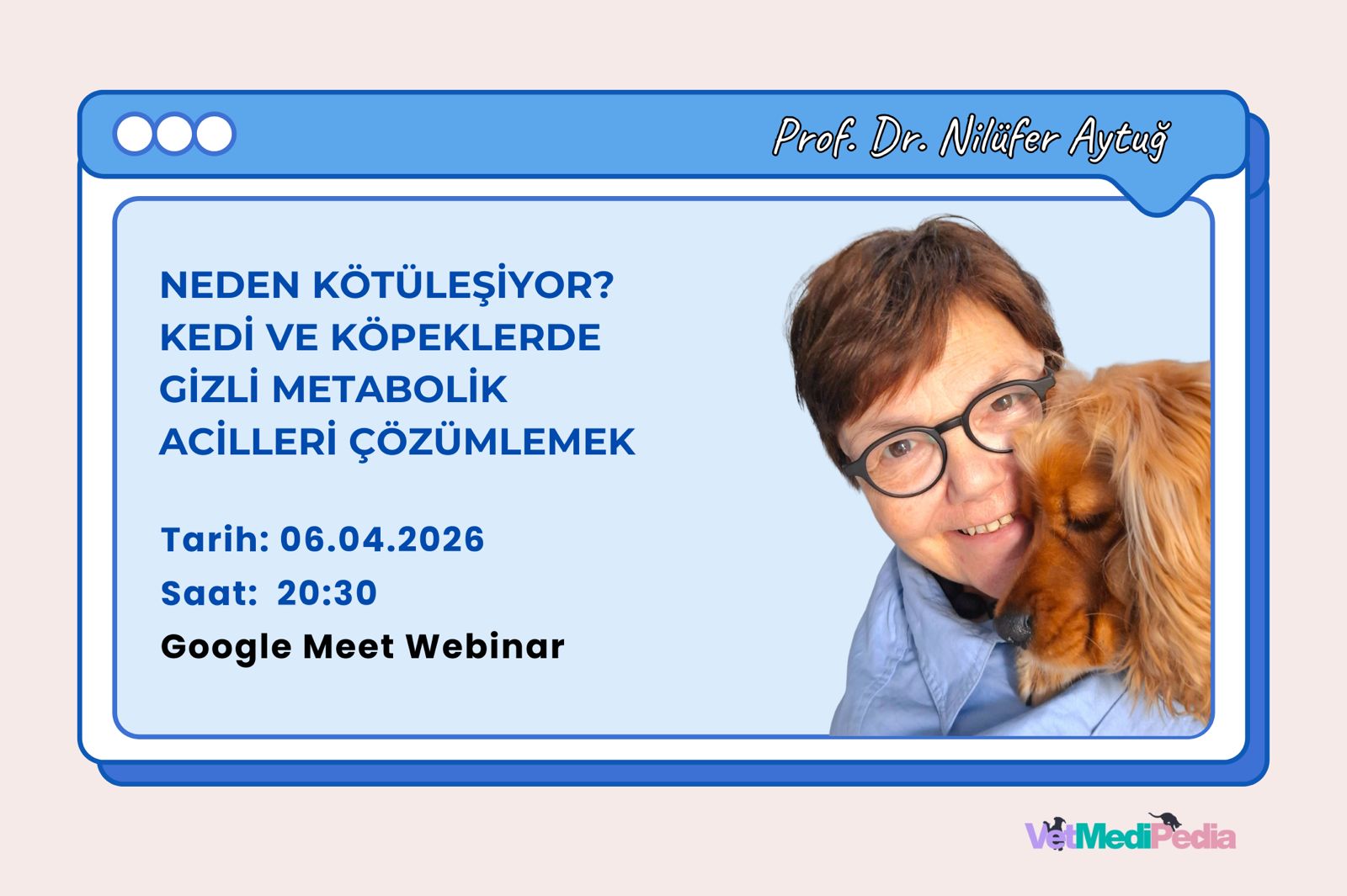 Neden Kötüleşiyor? Kedi ve Köpeklerde Gizli Metabolik Acilleri Çözümlemek