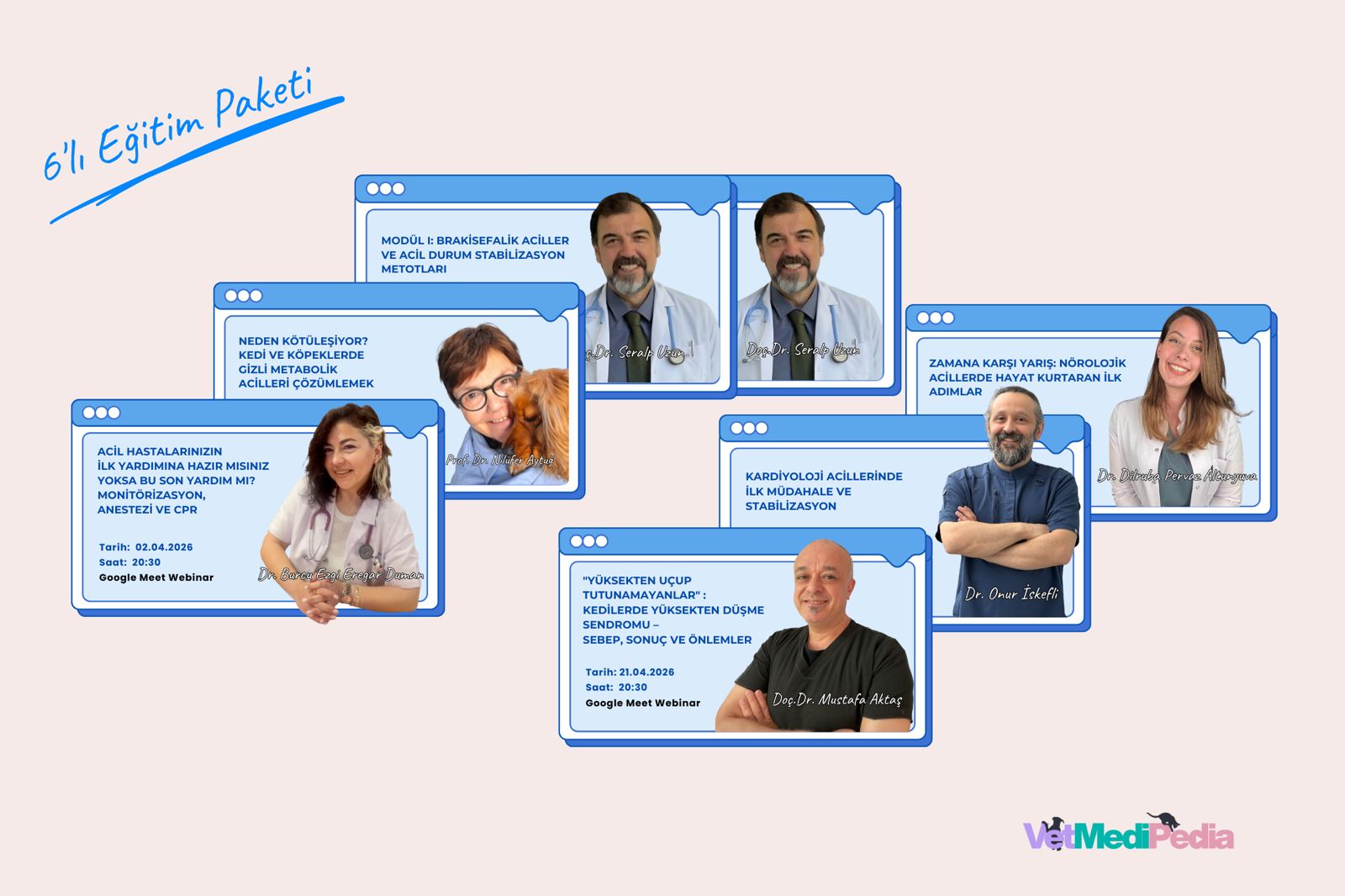 VetMediPedia 6’lı Eğitim Paketi