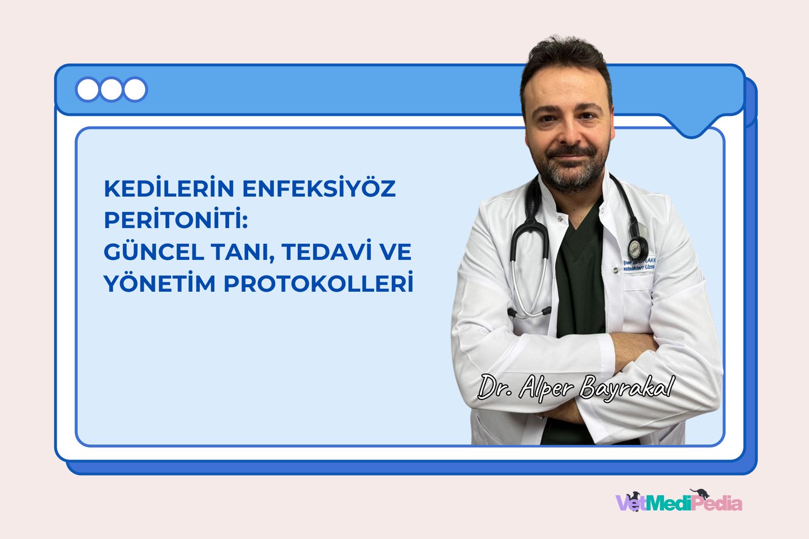 Kedilerin Enfeksiyöz Peritoniti: Güncel Tanı, Tedavi ve Yönetim Protokolleri (Offline Video Kayıt)