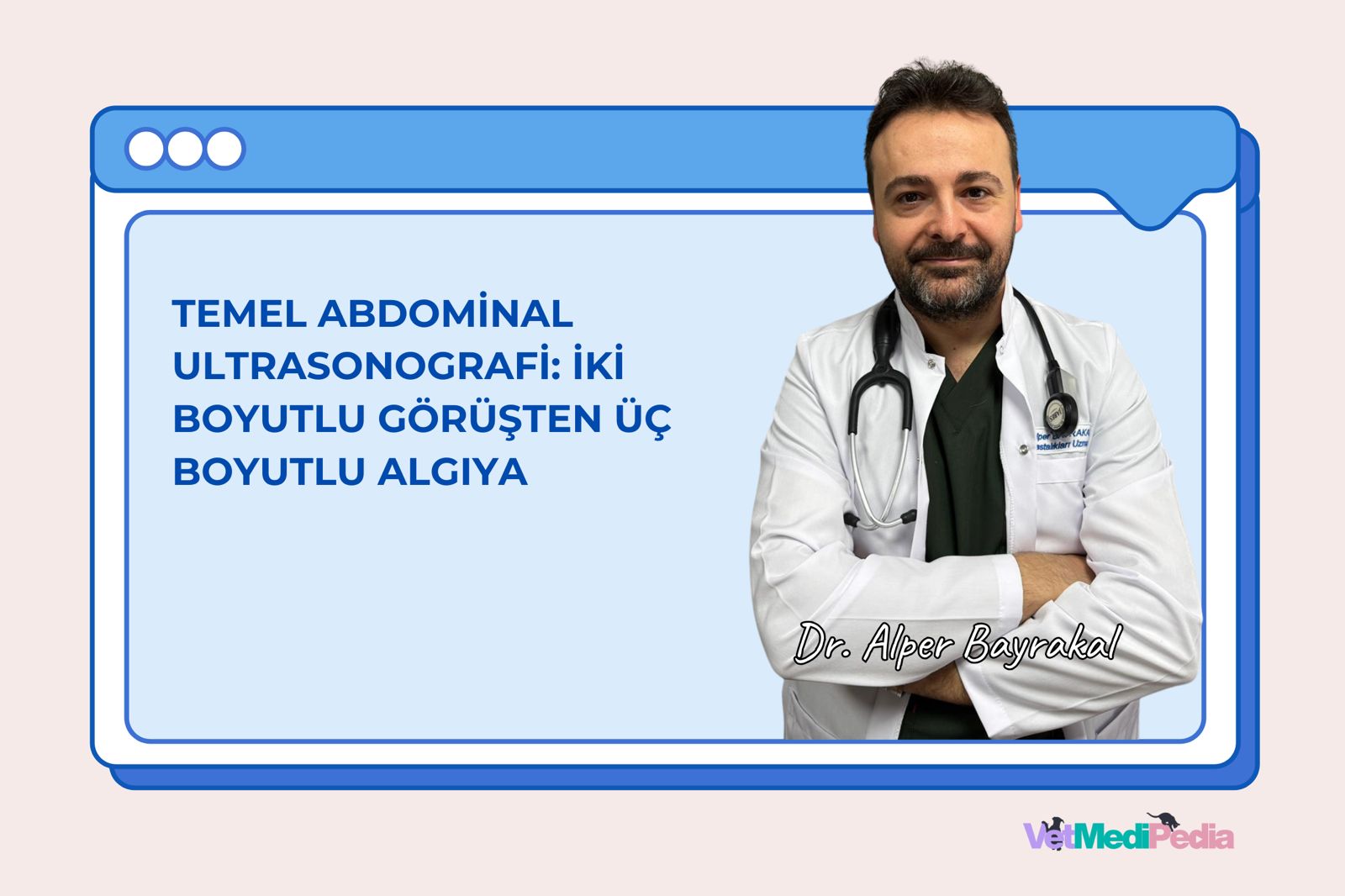 Temel Abdominal Ultrasonografi: İki Boyutlu Görüşten Üç Boyutlu Algıya (Offline Video Kayıt)