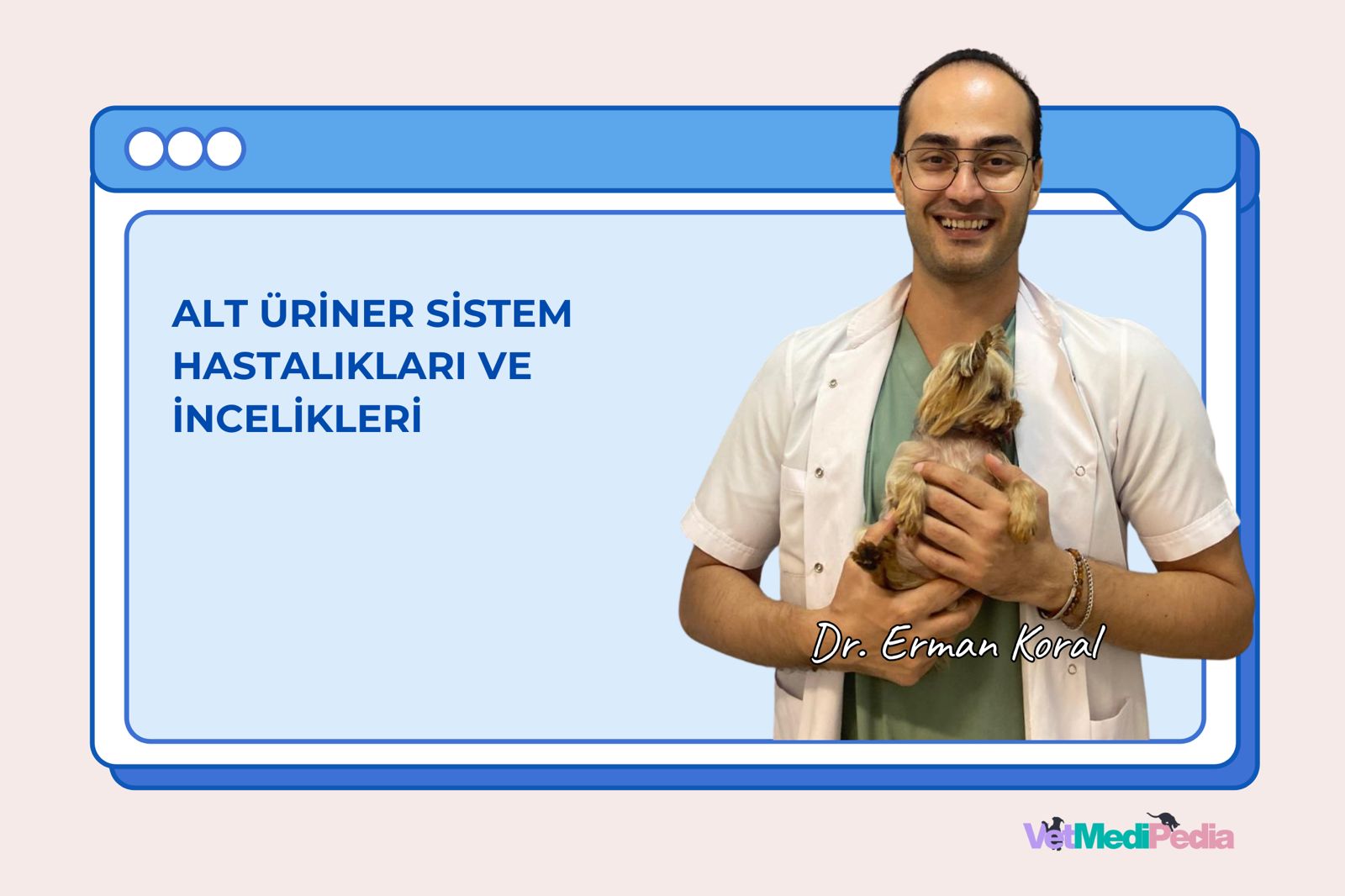 Alt Üriner Sistem Hastalıkları ve İncelikleri (Offline Video Kayıt)