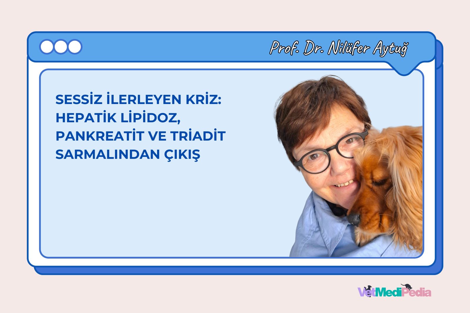 Sessiz İlerleyen Kriz: Hepatik Lipidoz, Pankreatit ve Triadit Sarmalından Çıkış (Offline Video Kayıt)