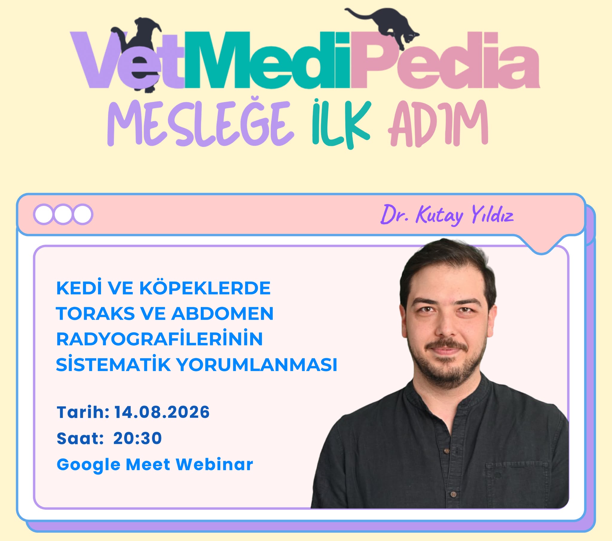 Kedi ve Köpeklerde Toraks ve Abdomen Radyografilerinin Sistematik Yorumlanması