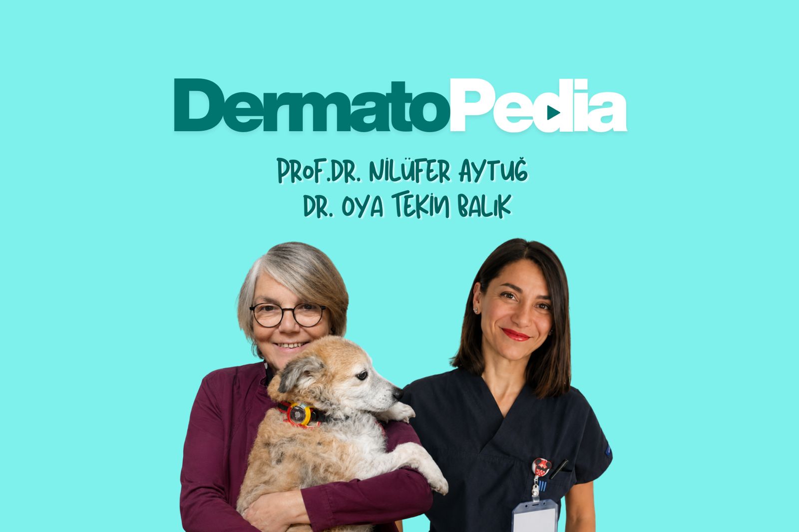 DermatoPedia