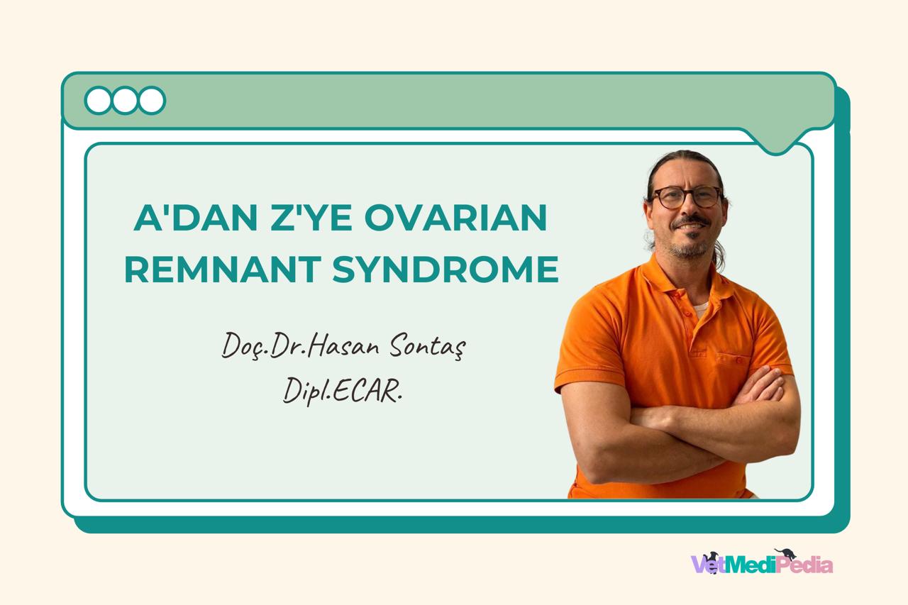 A’dan Z’ye Ovarian Remnant Syndrome